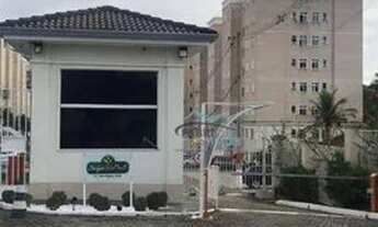 Imagem: Apto com 2 dorm