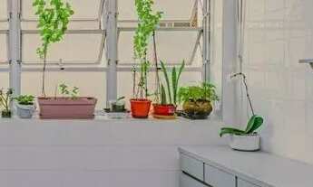 Imagem 7: APARTAMENTO - BELA VISTA - SP