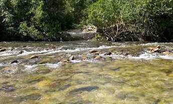 Imagem: Vendo umas terras sete milhões e quinhentos