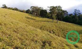 Imagem 6: TERRAS PECUÁRIA | 24,20 HA | REGIÃO DE POUSO ALEGRE MG