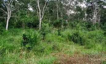 Imagem 7: Terreno 65.000m², as margens do Rio das Velhas, Jaboticatubas