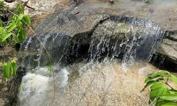Imagem 6: Chácara 4000m², Energia, Terra Mista, Agua, Arborizada, Entre Guapó e Aragoiânia