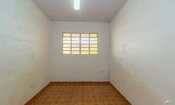 Imagem 6: Samambaia (Norte