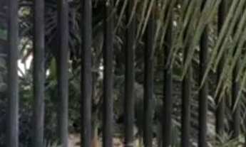 Imagem 2: Apartamento em Saquarema - Oportunidade liga 9 8 7 4 8 3 1 0 8 DIEGO9989F