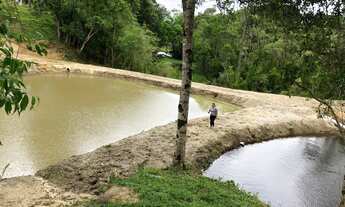 Imagem 4: Chácara com tanque de peixe