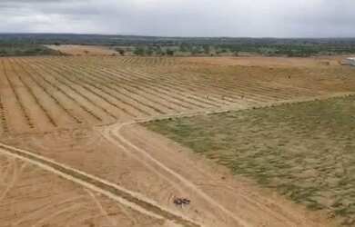 Imagem 3: Fazenda Completa à Venda em Caldas do Jorro (Tucano-Ba) - 200 tarefas - Porteira Fechada