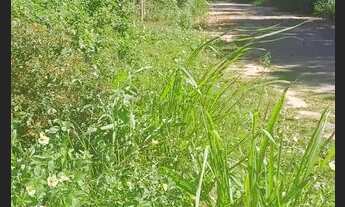 Imagem 4: Terreno Condomínio em Interlagos - Vila Velha, ES