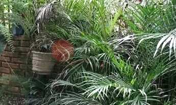 Imagem 2: Terreno à venda no Jardim Têxtil, 460 m²