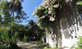 Imagem 7: Rio Natureza Apart 109 abraço da mata Atlântica