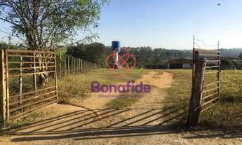 Imagem: Área Comercial à venda, Zona Rural, Pirangi