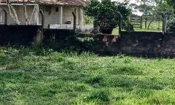 Imagem 3: Vendo excelente Fazenda em inhambupe