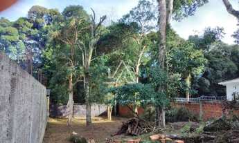 Imagem 2: TERRENO NO BOSQUE EM MEIO A NATUREZA, EM UM DOS BAIRROS MAIS NOBRES DE PASSO FUNDO