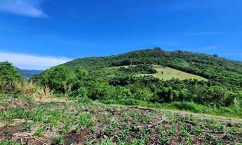 Imagem 6: Sítio / Chácara para Venda em Nova Petrópolis, Fazenda Pirajá