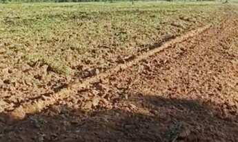 Imagem: Vende-se uma excelente fazenda de 1.100