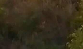 Imagem 2: VENDO TERRENO MA PRAIA DO BATOQUE