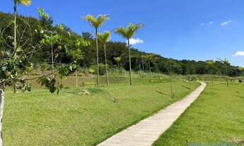 Imagem 5: TERRENO - Quinta da Mata - SP