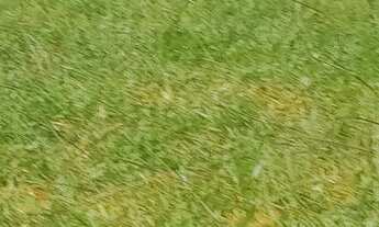 Imagem 5: Lotes 100 Terreno / lote com venda por R$55.000