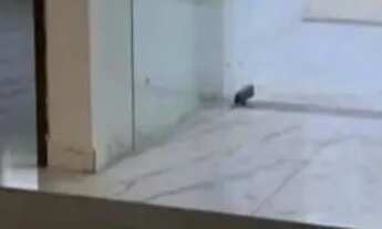 Imagem 5: EF- Casa Itaoca Casa com 2 dormitórios