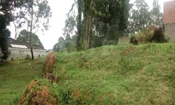 Imagem 2: Terreno à venda em São Paulo-SP, bairro Parque dos Príncipes, 494m² de área. Imperdível op