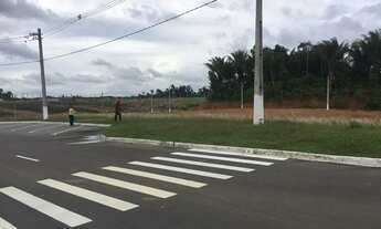 Imagem 6: Lotes sem Consulta ao Serasa