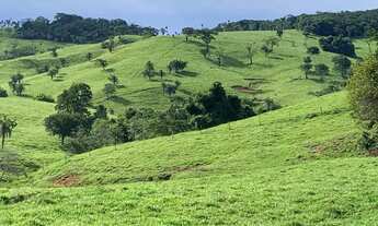 Imagem 6: Fazenda a venda em Ipameri Goiás!!!
