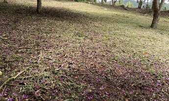 Imagem: Terreno em Monteiro Lobato Alpes do Buquira