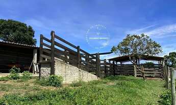 Imagem 2: Chácara c/ 3 alqueires , Porteira fechada 6 km de Abadiânia - GO, aceita imóveis em Anápol