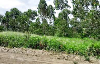 Imagem 7: Terrenos para Casa de Campo no Interior de São Paulo São Roque
