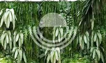 Imagem: Casa à venda em Paulínia, Parque Brasil