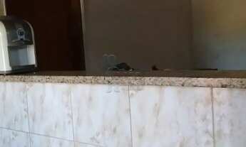 Imagem 5: Casa de 178m² com 05 quartos para venda - Jardim Porto Seguro