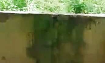 Imagem 7: Casa em ubaira sem reforma boa localidade