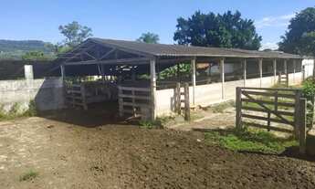 Imagem 3: Sítio a venda com 31 alqueires