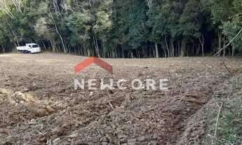 Imagem 6: Sítio em Rua Professor Júlio Carvalho Gomes - Roça Velha - São José dos Pinhais/PR