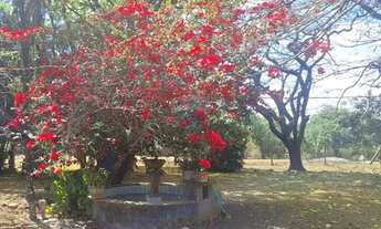 Imagem 7: Casa no Cercado em Araçoiaba da Serra, com 24.000m2