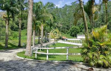 Imagem 5: Fazenda com 35,83 alqueires à Venda na Cidade de Paraíbuna
