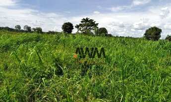 Imagem 4: Fazenda à venda, 275880 HA por R$ 9.000.000 - Zona Rural - Jussara/GO