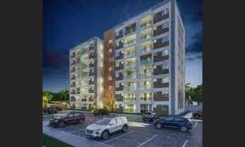 Imagem 2: VIVER ARUANA [25761