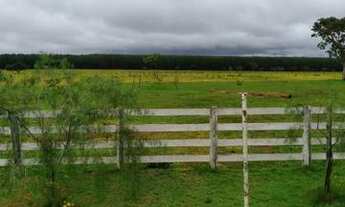 Imagem 5: Excelente oportunidade