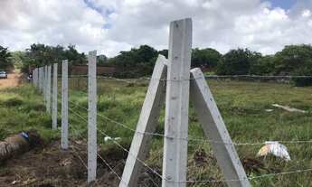 Imagem 4: Excelente terreno em pium 911m2