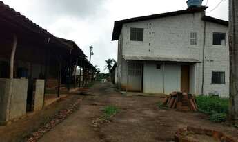 Imagem 4: Fazenda no Município de Areia com muita água e acesso fácil