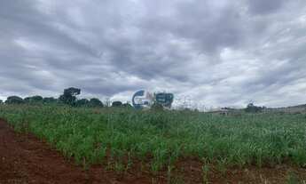 Imagem 3: Área para chácara Maravilha Londrina