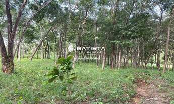 Imagem 5: Vendo Fazenda 1.000 alqueires, Ponte Alta do Tocantins