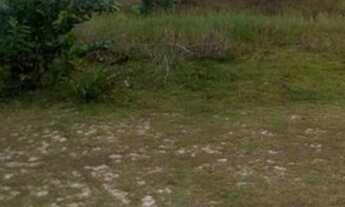 Imagem 6: Lote-Caminho de Abrolhos- 450m²-400 mts da Praia,R$13 mil, C/ ESCRITURA REGISTRADA-Nova Vi