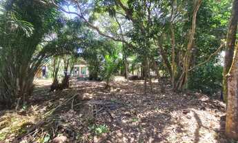 Imagem 3: Lote/Terreno para venda de 800 m2 em Barra Grande - Maraú - Bahia