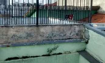 Imagem 3: Sobrado na Vila Marte - 4 dorms. - Próximo ao Metro Sacomã - Pronto para morar