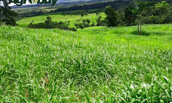 Imagem 7: Fazenda Com 405 Alqueires Localizada em Marabá-Pá