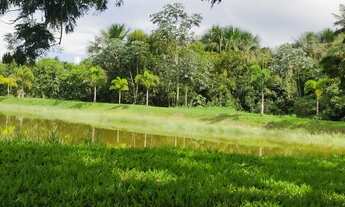 Imagem 4: Fazenda 170 alqueires 103km Mineiros - GO