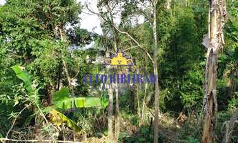 Imagem 3: TERRENO COSTA DE DENTRO DOS AÇORES