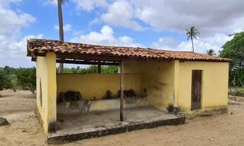 Imagem 5: Granja com 6 hectares na região de Monte Alegre