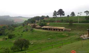 Imagem 2: Sítio com 7 dormitórios à venda, 44000 m² - Água Espraiada (Caucaia do Alto) - Cotia/SP